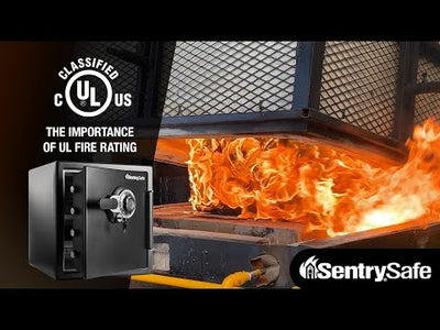 Combination Fire/Water Safe SFW123DSB